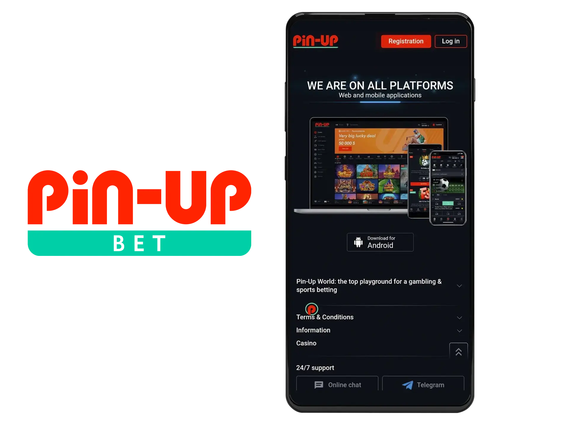 Download the Pin Up file to your device.