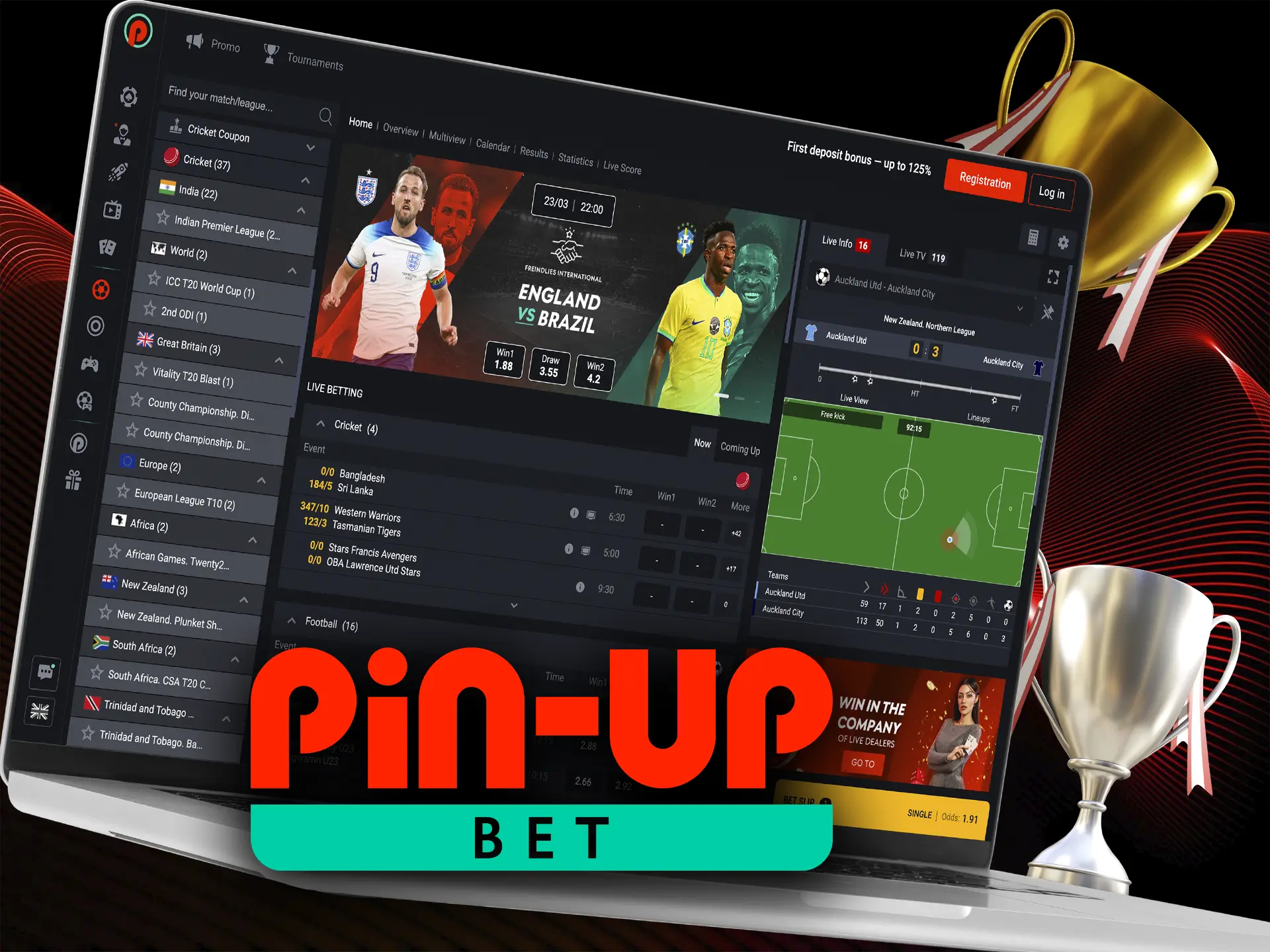 Use your knowledge and skills intelligently when betting on the most famous cricket tournaments at Pin Up.